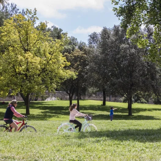 ruta bici