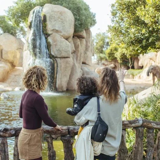 Bioparc Valencia